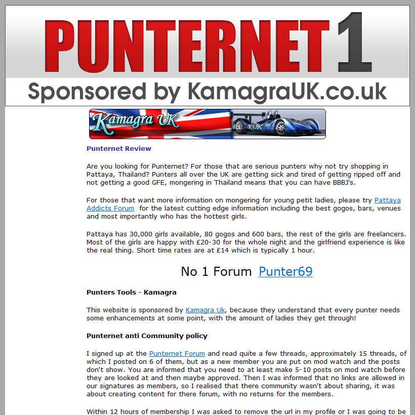 Punternet Website Review